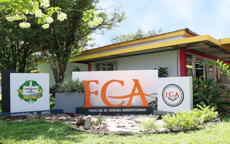 fca chiriqui