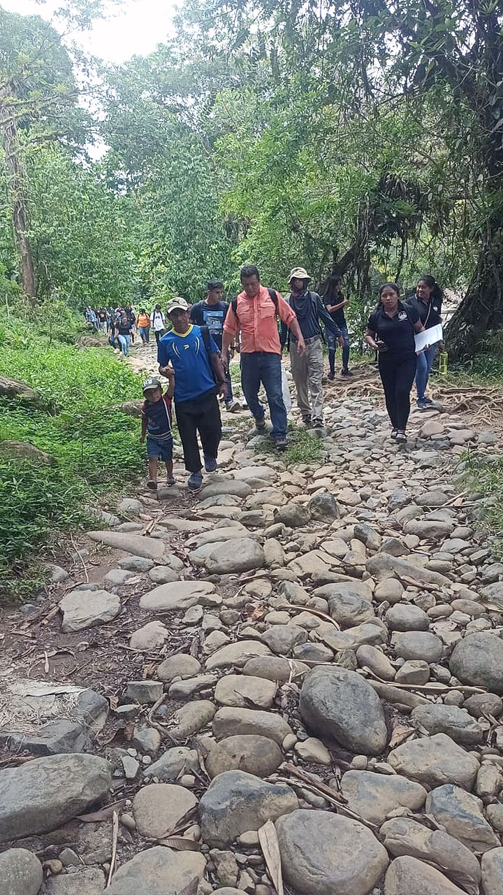 estudiantes de historia del cruv