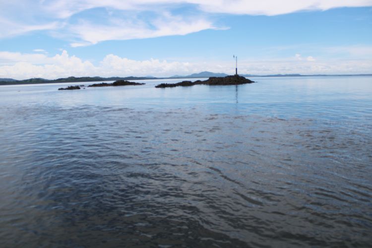 coiba investigaciones 