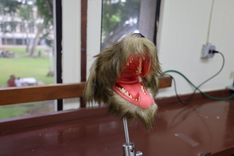 estación de laboratorio