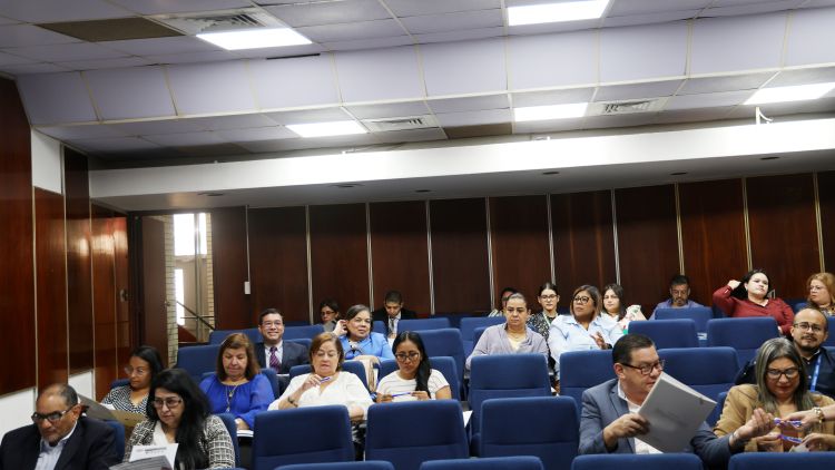 participantes 