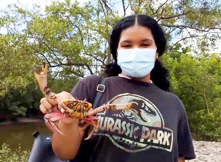 cnagrejos investigadora