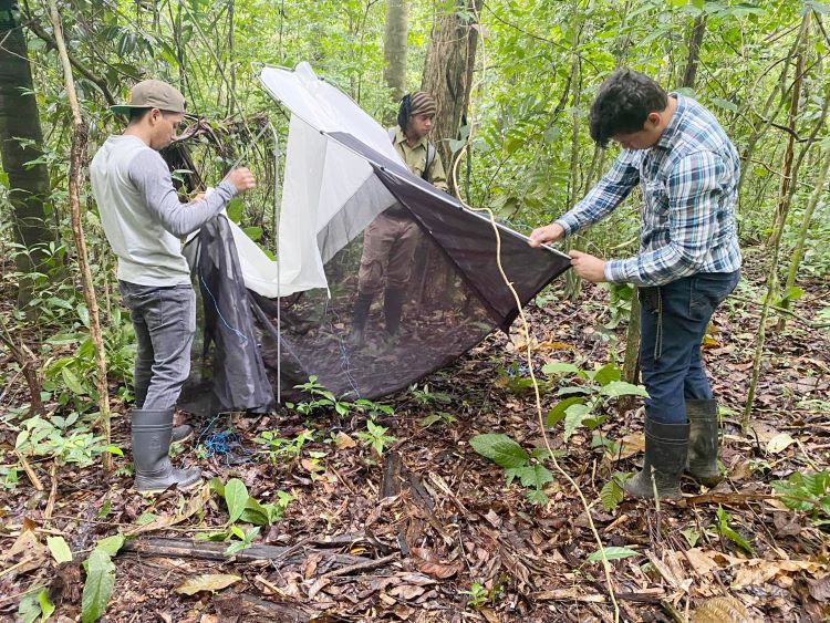 2.	José A. Rivera L., Julio Gutiérrez y Carlos Vargas preparan trampas para atrapar insectos.