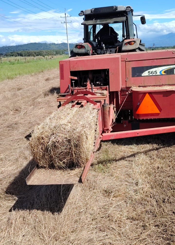 tractor de pacas 