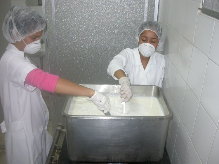 cru cocle alimentos