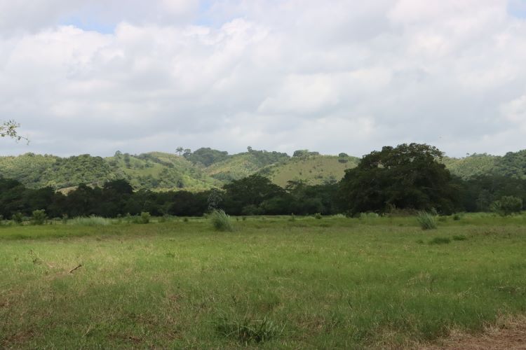 Vista de los cerros y colinas que conforman la finca en Cañita. 