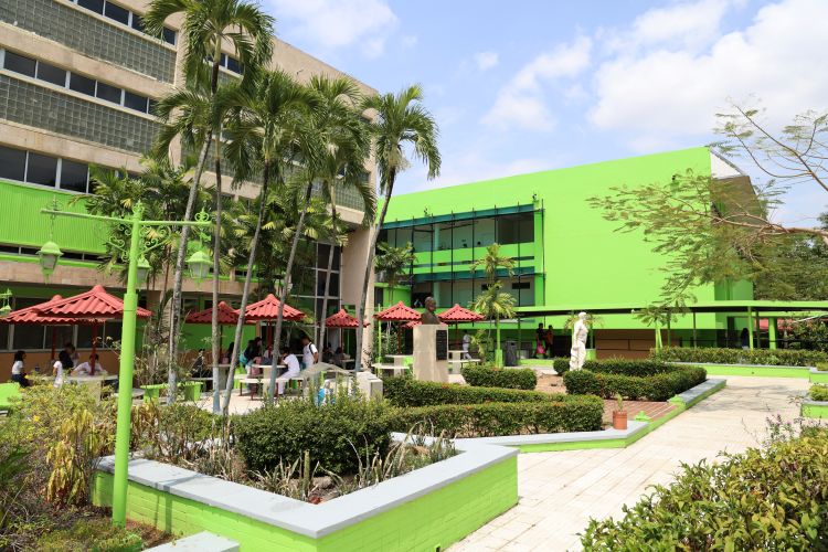 patio de facultad de medicina 