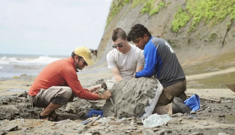 investigadores