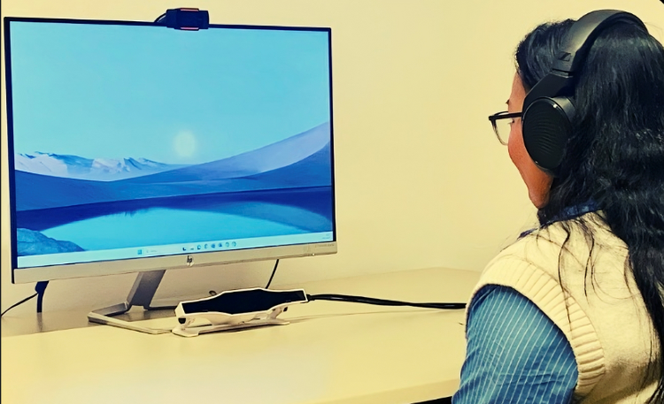 experimentos melissa