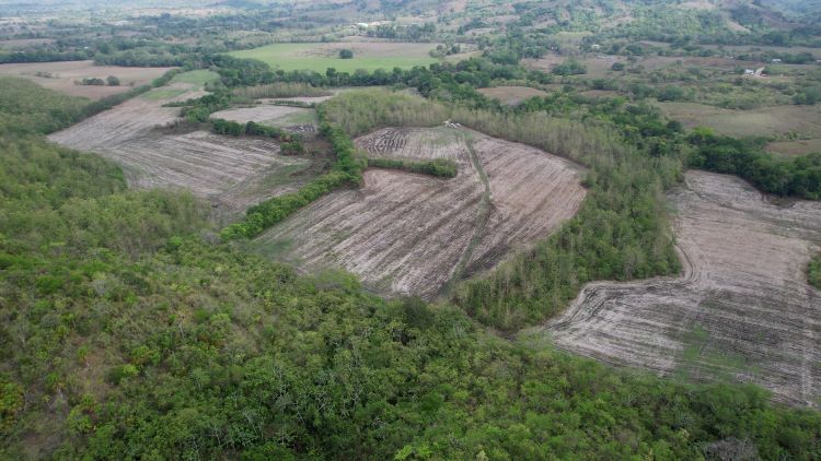 1.	Imagen aérea de los terrenos adquiridos para la FCA