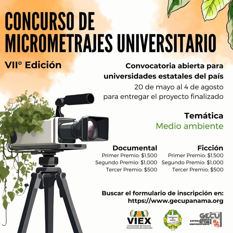 Afiche de micrometrajes 2024
