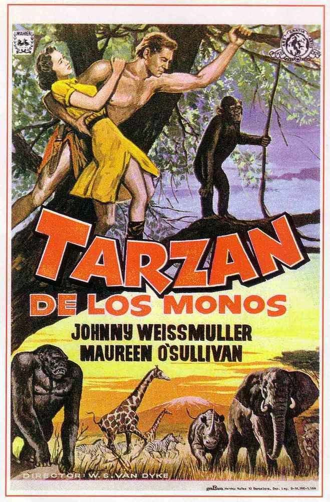afiche de tarzan