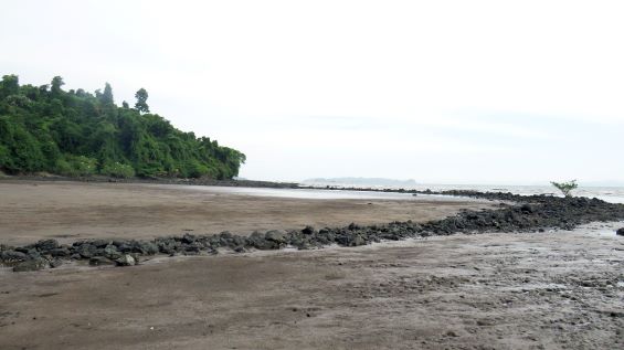 coiba playa 