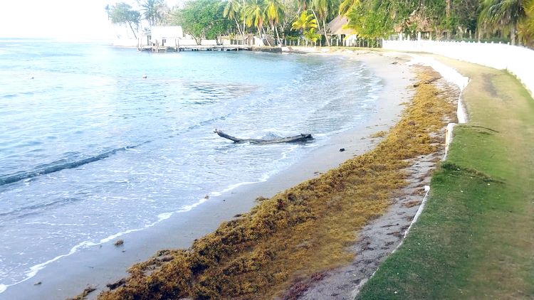 colon nombre de dios