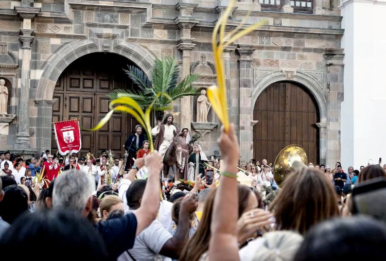 domingo de ramos