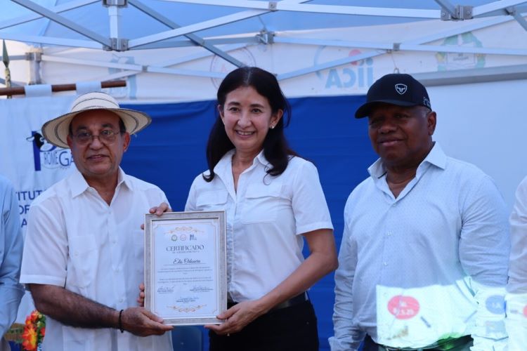 flrores en la porcelana