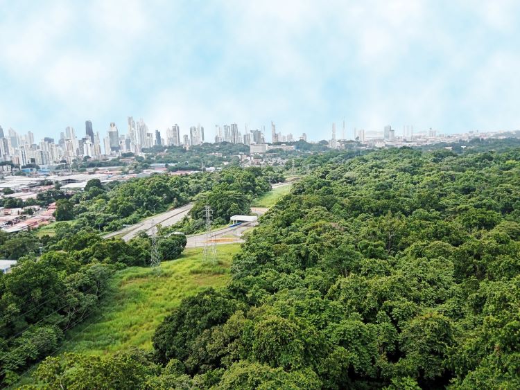 vista panoramica del parque metropolitano y capital