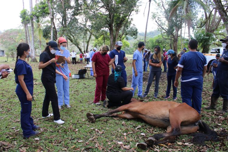 Veterinaria y estudiantes 