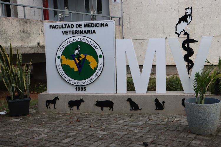 Medicina Veterinaria