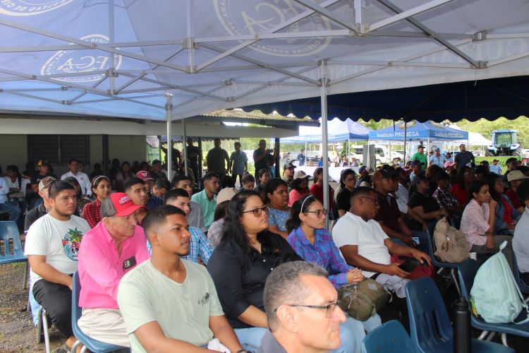 asistentes del evento.