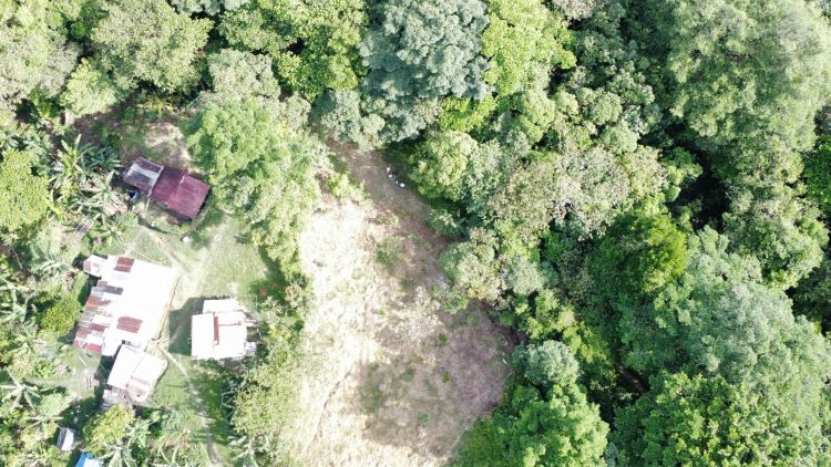 fragmentación boscosa 