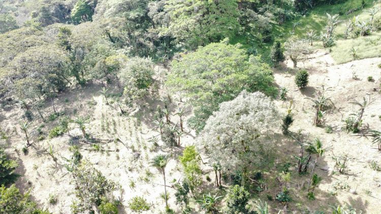 deforestacion santa fe 