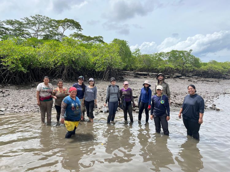 estudiantes de servicio social cruv