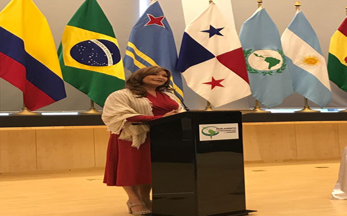 Mgter. Lourdes de Alguero ante la Comisión de Alto Nivel .