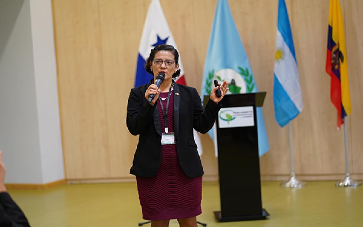 Magister Bicet Arauz 