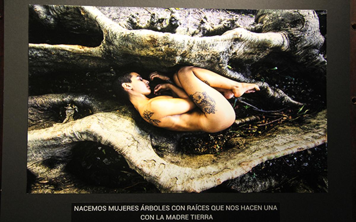 Abstracción Natural muestra de Pilar Lacalle Glena