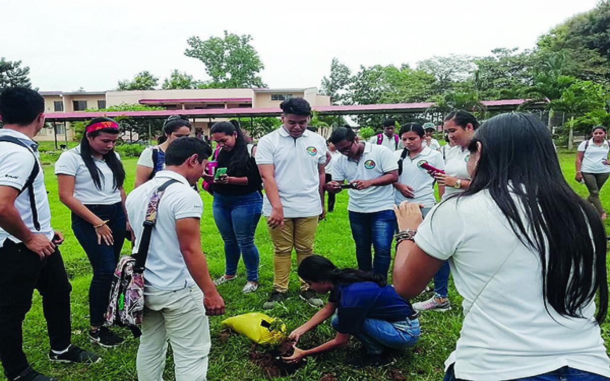 Estudiantes de biología organizan siembra de arboles 