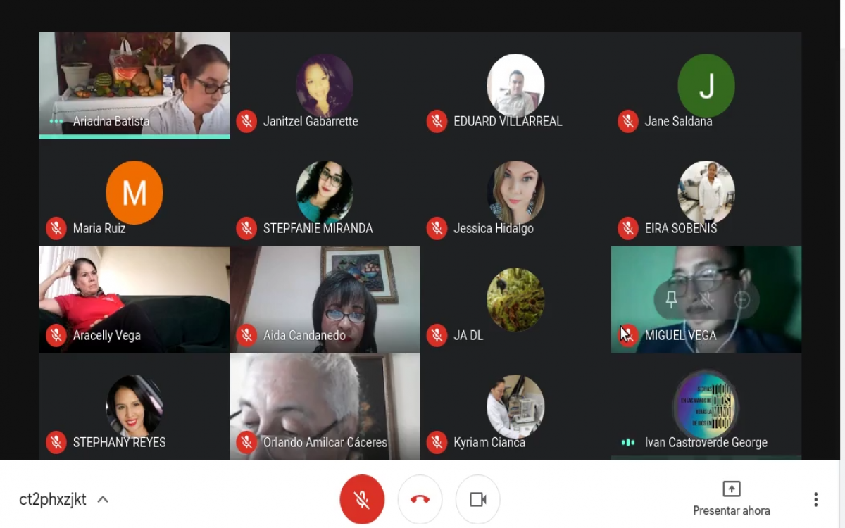 participantes en zoom