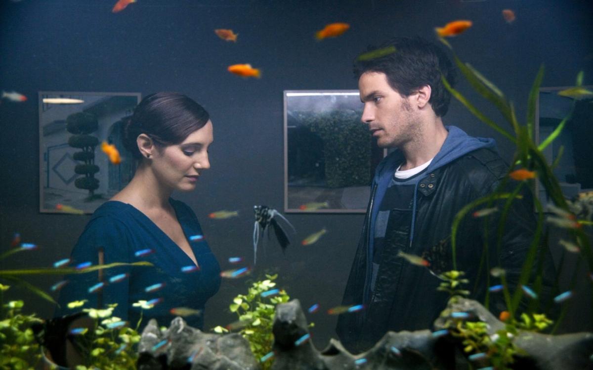 La vida de los peces 