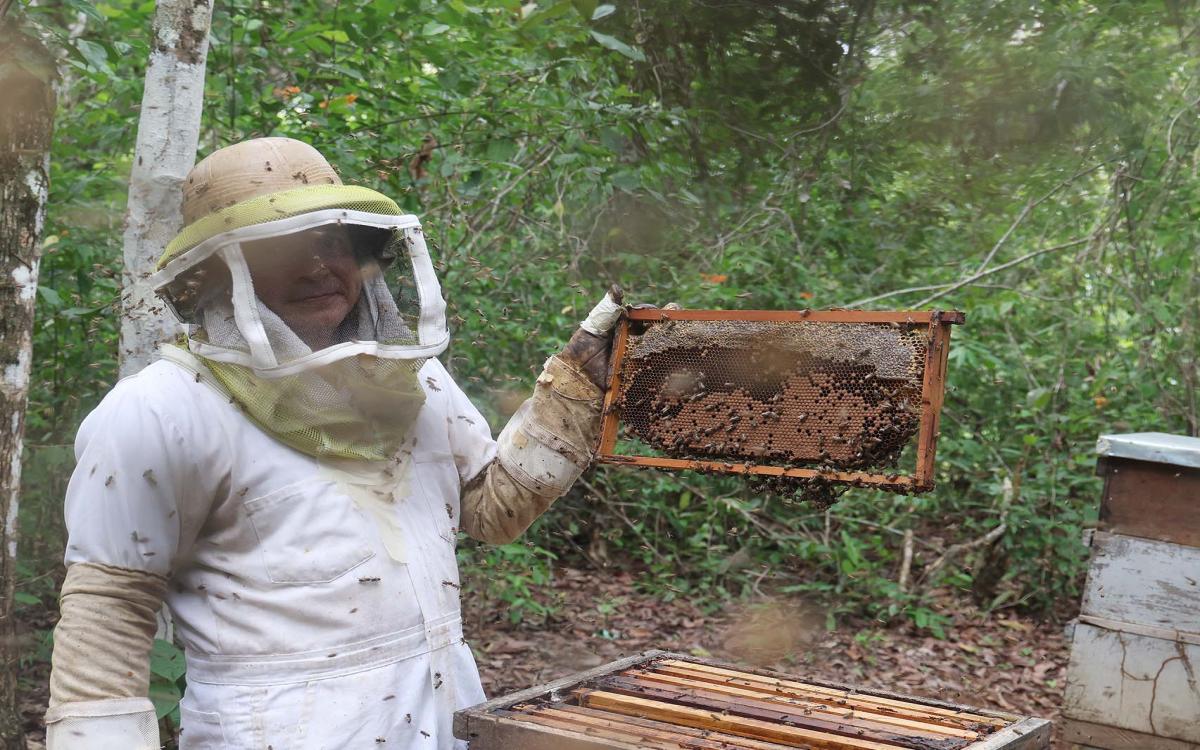 Carlos Candanedo, encargado del Programa Apícola de la FCA
