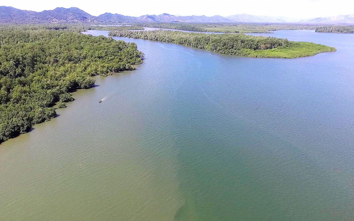 Panorámica del río Caté y Calabazal, golfo de Montijo. Foto cortesía de CCIMBIO-COIBA